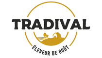 Tradival - logo