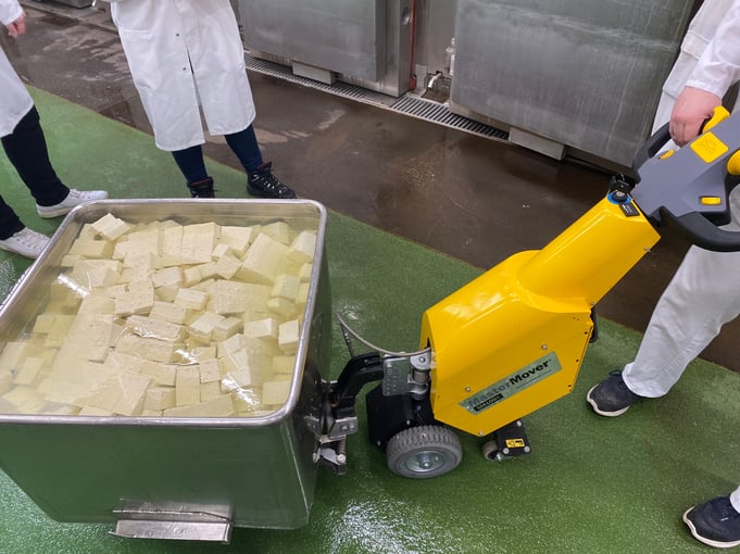 SM100 Food Processing Tofu